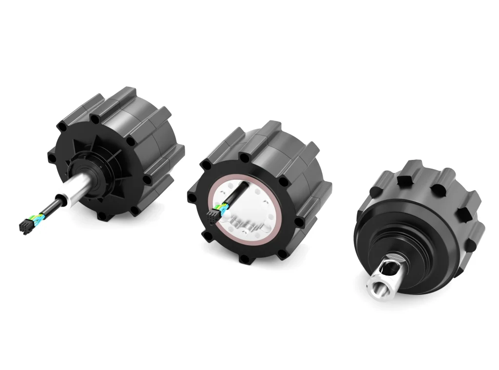 Wheel Hub Gear Motors